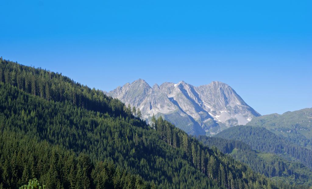 Gasthof Riederhof Герлос Стая снимка